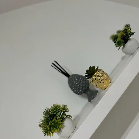 Mini Dimora A 600m Dal Centro Apartment Lecce